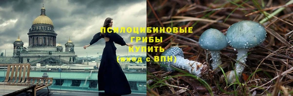 спиды Алзамай