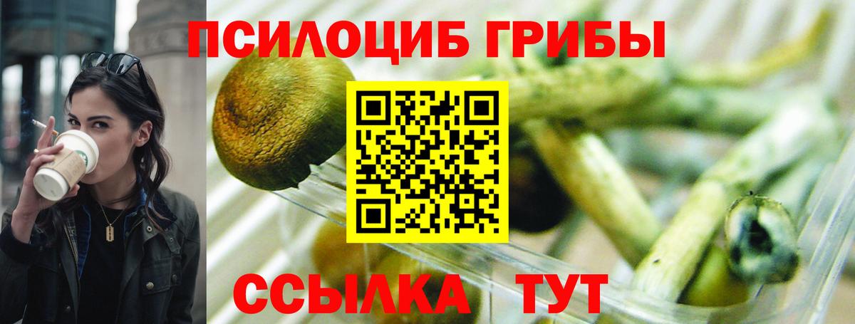 Псилоцибиновые грибы ЛСД  Галлюциногенные грибы прущие грибы  купить наркоту  Кудымкар  Вход с VPN 